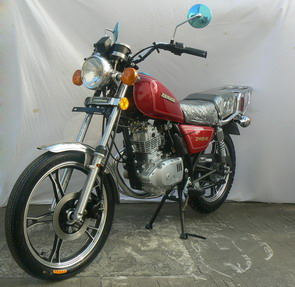 正好ZH125-10C两轮摩托车公告图片
