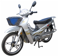广雅GY110-P两轮摩托车公告图片