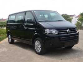 友谊牌ZGT5030XBY1V殡仪车
