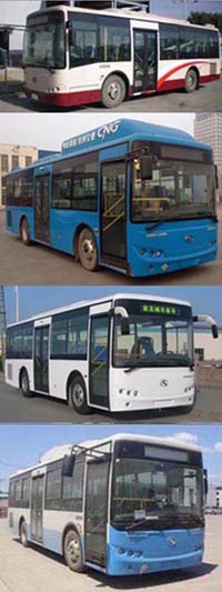 金龙XMQ6900AGN5城市客车公告图片