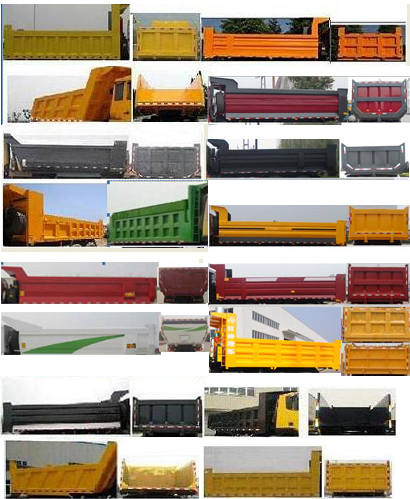 CQ3255HTDG334S 红岩390马力后双桥,后八轮柴油5米国四自卸汽车图片