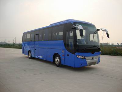 黄海10.8米24-47座客车(DD6119C30)