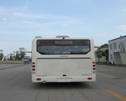 东宇NJL6129GN5城市客车公告图片