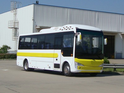 黄海8.2米25-33座纯电动客车(DD6821EVC01)