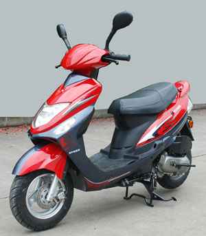 尊隆ZL100T-G两轮摩托车图片