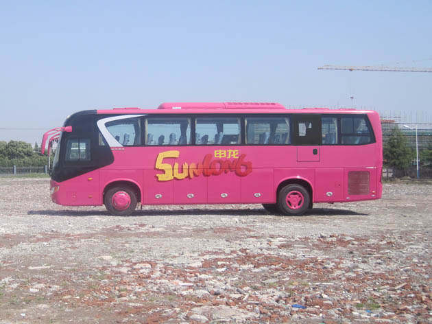 申龙SLK6118S5A客车公告图片
