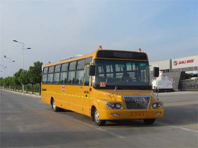 大力DLQ6980EX4小学生专用校车公告图片