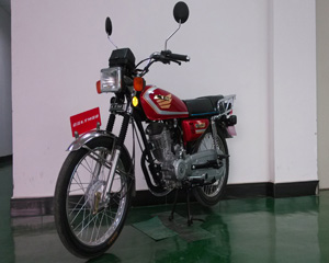 联统LT125-2G两轮摩托车图片