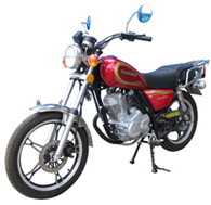 广雅GY125-D两轮摩托车图片