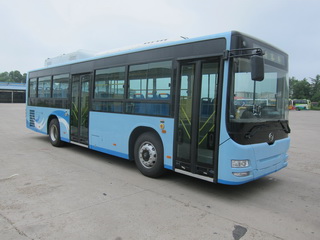 黄海10.5米18-40座纯电动城市客车(DD6109EV1)