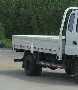 BJ1049V8PDA-AA 福田113马力单桥柴油3.8米国四载货汽车图片
