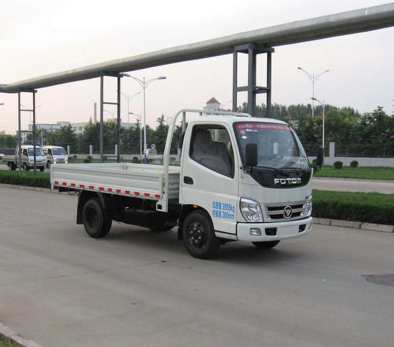 福田 103马力 两用燃料载货汽车(BJ1031V3JL4-AA)