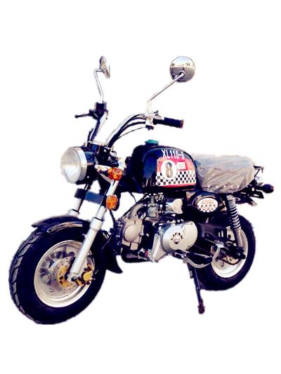XL110-6 迅龙107CC汽油前盘式后鼓式两轮摩托车图片