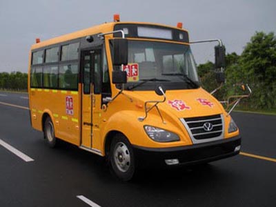 友谊ZGT6690DVX1小学生专用校车公告图片