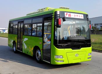 少林8.2米10-31座纯电动城市客车(SLG6821EVG)