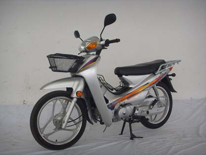 大福DF110-2G两轮摩托车图片