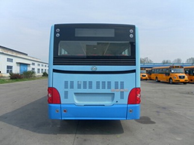 黄海DD6129EV16纯电动城市客车公告图片