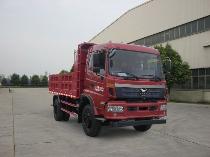 南骏 200马力 自卸汽车(CNJ3060RPC38M)