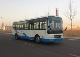 教练车