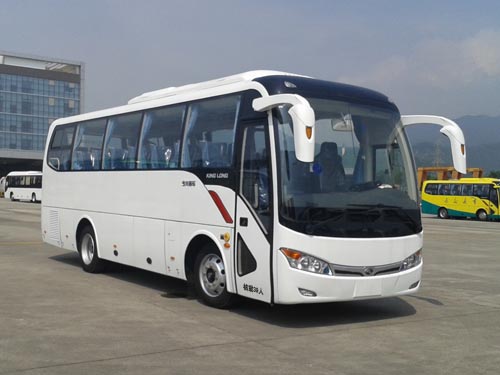 金龙8.7米24-39座客车(XMQ6879AYD5C)