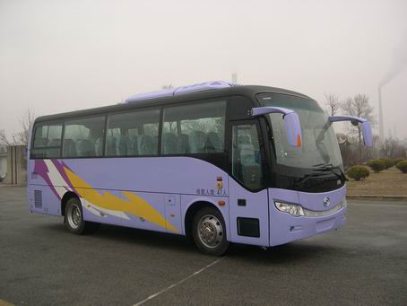 黄海8.5米24-47座客车(DD6857C08)