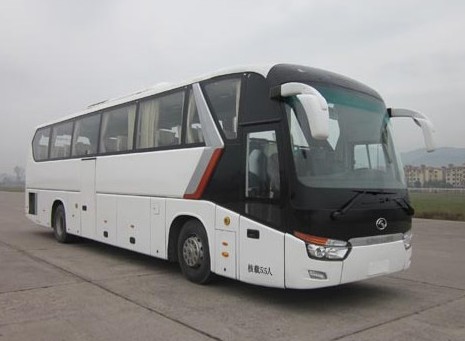 金龙XMQ6129BYD5D1客车公告图片