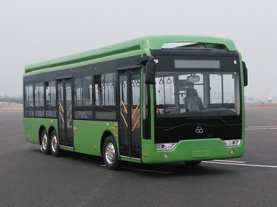 舒驰10.3米10-18座纯电动城市客车(YTK6100GEV)