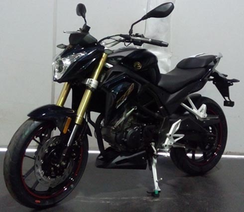 ZS250GS-2A 宗申250CC汽油前盘式后盘式两轮摩托车图片