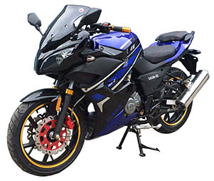 众好ZH200-5X两轮摩托车图片