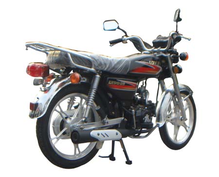隆鑫LX90-20两轮摩托车公告图片
