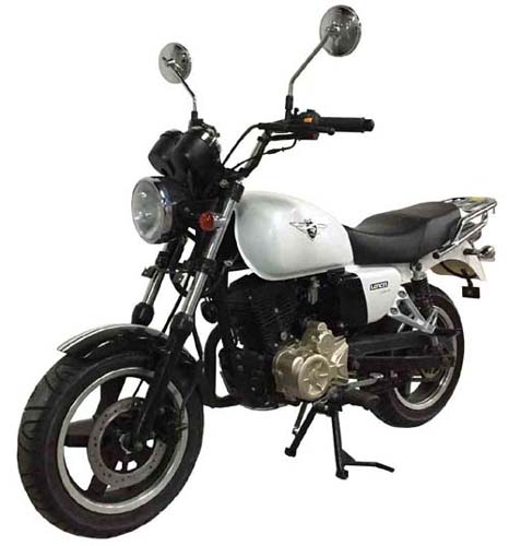 隆鑫LX150-63两轮摩托车图片