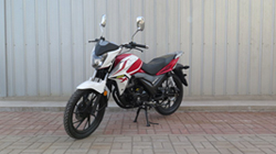 东本DB150-C两轮摩托车图片