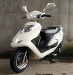 炫耀XY125T-30两轮摩托车公告图片