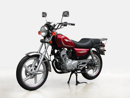 大阳DY125-8A两轮摩托车图片
