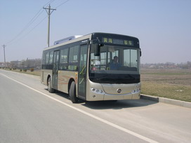 黄海8.5米16-30座城市客车(DD6851B01N)