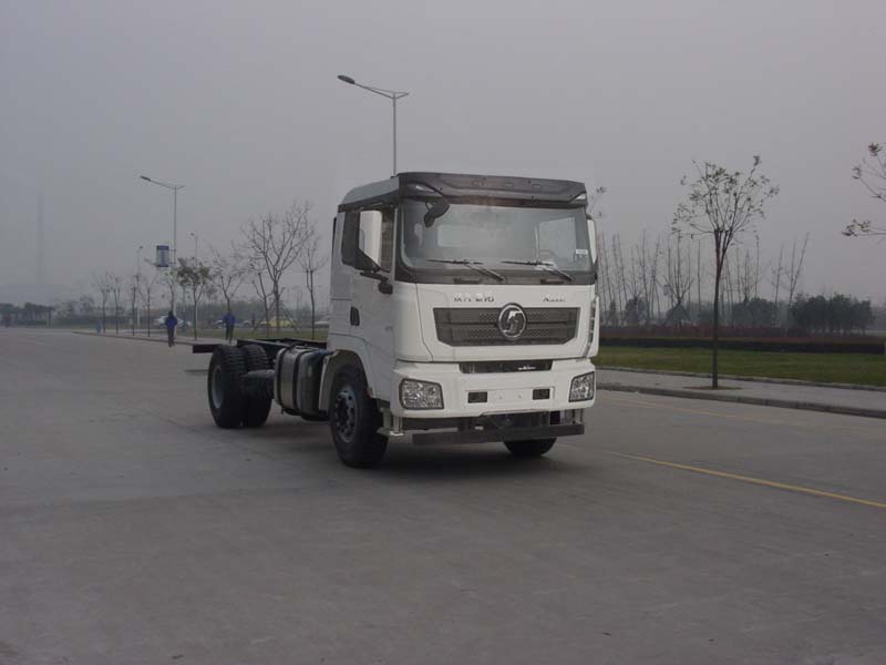 SX1160XB1 陕汽310马力单桥柴油载货汽车底盘图片