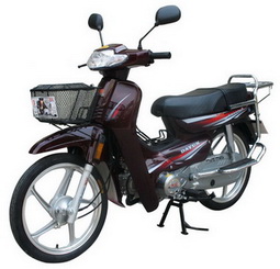 大运DY110-K两轮摩托车图片