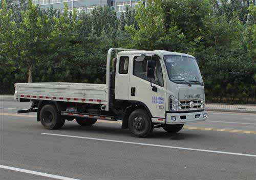 福田 116马力 载货汽车(BJ1076VEPBA-AB)