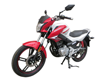 达龙DL150-5C两轮摩托车公告图片