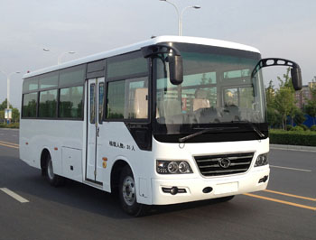 少林7.5米24-31座客车(SLG6750C5E)