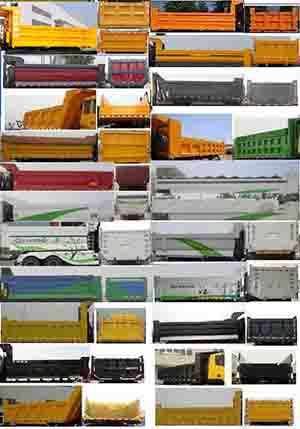 CQ3255HMG404 红岩320马力后双桥,后八轮柴油6米国四自卸汽车图片