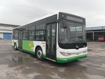 黄海10.5米18-32座纯电动城市客车(DD6109EV3)