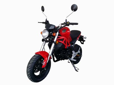新陵XL150-2C两轮摩托车公告图片