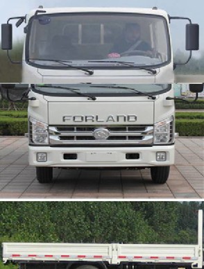 BJ1043V9PEA-A 福田113马力单桥柴油3.8米国四载货汽车图片