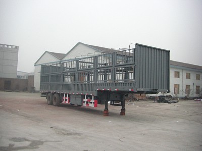 福运祥14米10吨2轴车辆运输半挂车(JJT9190TCL)