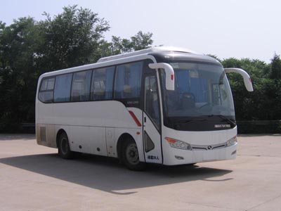 金龙8.7米24-39座客车(XMQ6879AYN4D)