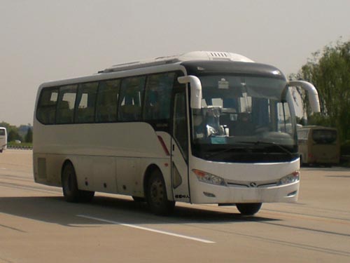 金龙10.5米24-47座客车(XMQ6101AYN5C)