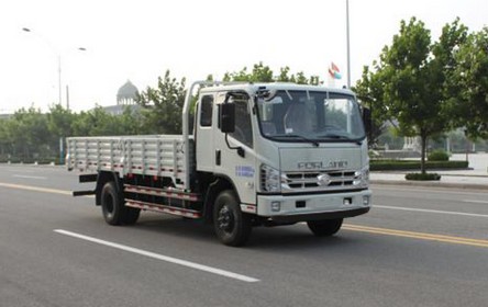 BJ1103VGPEA-V5 福田143马力单桥柴油4.8米国四载货汽车图片