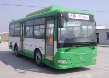 少林SLG6820T5GER城市客车公告图片