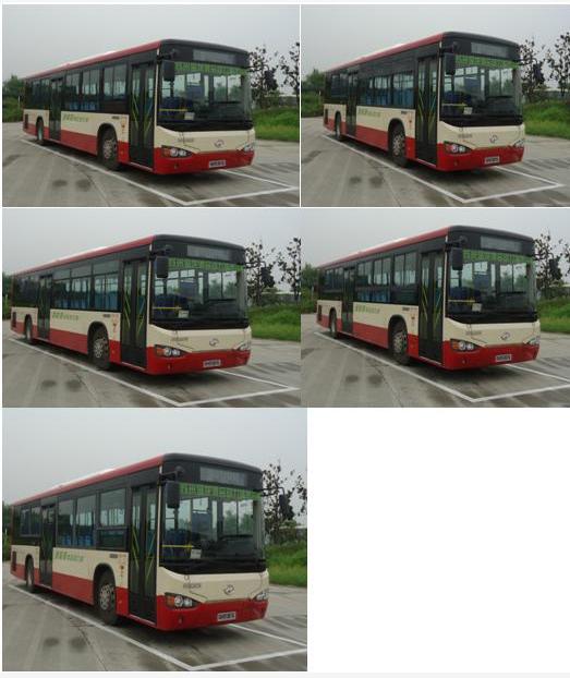 海格KLQ6109GAEV2纯电动城市客车公告图片